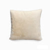 Plush Decorate Cushion Case