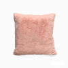 Plush Decorate Cushion Case